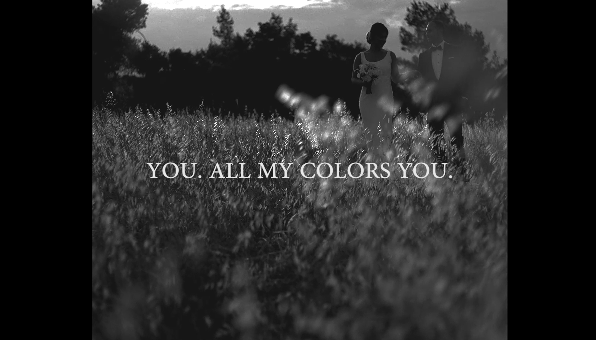 You. All my colors you.